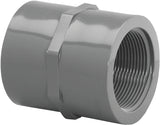 Lasco 830012BC Pipe Coupling, 1-1/4 in, FIP, PVC, SCH 80 Schedule