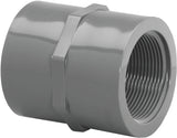 Lasco 830010BC Pipe Coupling, 1 in, FIP, PVC, SCH 80 Schedule