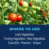 BioAdvanced Ready-to-Use, Tomato & Vegetable Insect Killer Spray 24 oz