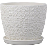 Trendspot 6.8 in. H X 8 in. W X 8 in. D Ceramic Mediterranean Planter White, Pack of 2