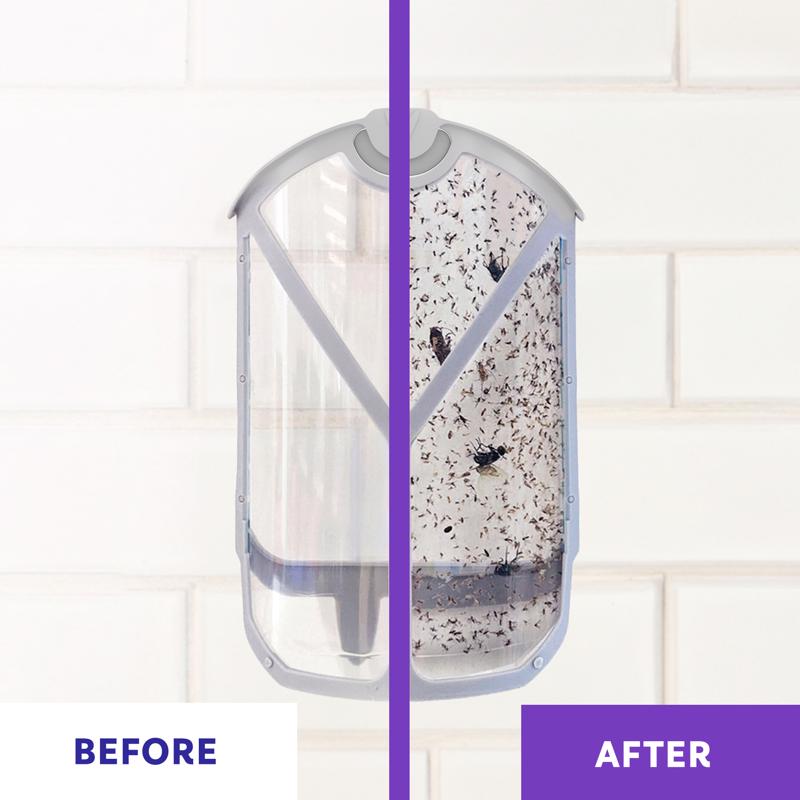 Zevo Value Pack Flying Insect Trap, Pack of 2