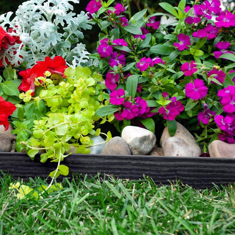 EasyFlex 20 ft. L X 2.5 in. H Plastic Black Coiled Edging