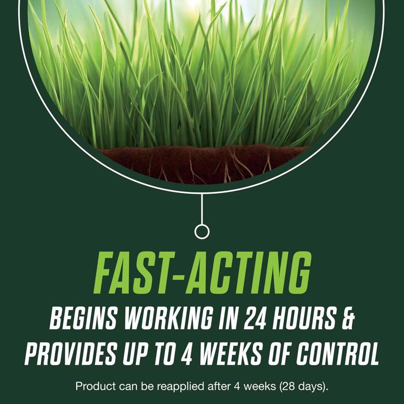 Scotts Turf Builder Moss and Fungus Control Lawn Food For Multiple Grass Types 8000 sq ft