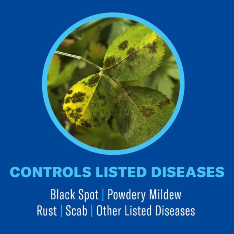 BioAdvanced 3-in-1, Non-Neonic, Ready-to-Spray Insect Disease & Mite Control Spray 32 fl. oz.