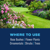 BioAdvanced 3-in-1, Non-Neonic, Ready-to-Spray Insect Disease & Mite Control Spray 32 fl. oz.