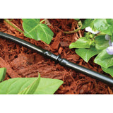 Rain Bird 1/4 in. Barbed Drip Irrigation Coupler 1 pk