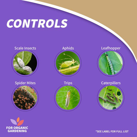 Bonide All seasons Organic Horticultural Spray Oil Liquid 32 oz