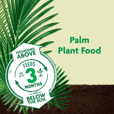 Ace 1/4 in. D X 50 ft. L Gold Braided Poly Rope, Pack of 6