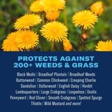 BioAdvanced 704130A Weed and Crabgrass Killer, Liquid, Black/Brown, 1 gal Bottle