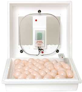 Little Giant 9300 Egg Incubator, 110 V, 41 Large Chicken Eggs Egg, Styrofoam