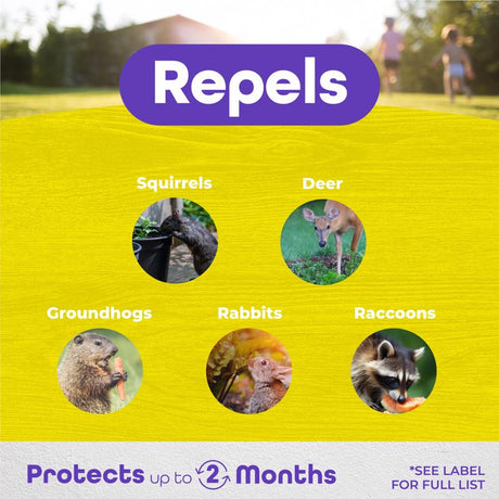 Bonide Repels-All Animal Repellent Granules For Most Animal Types 3 lb, Pack of 4