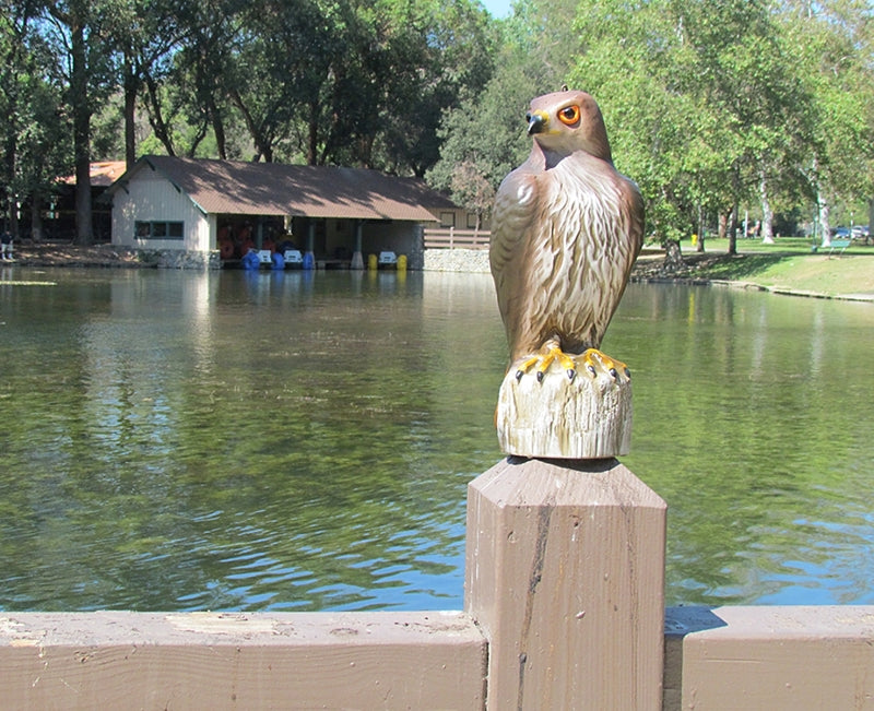 Bird-B-Gone MMRTH1 Hawk Decoy