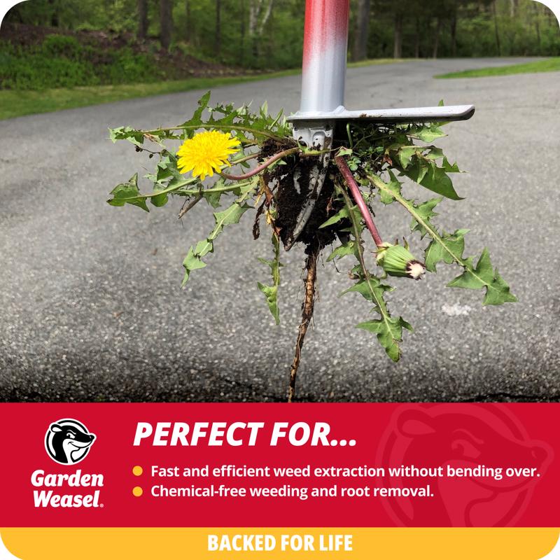 Garden Weasel Weed Popper Step & Twist 38 in. Steel Precision Tip Weed Cutter, Pack of 4