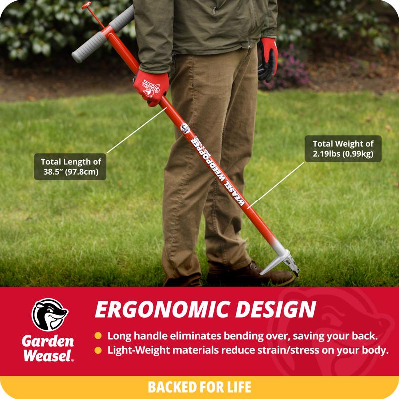 Ace Jet Stream Brass Cleaning Nozzle