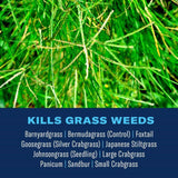BioAdvanced 704100B Bermuda Grass Control, Liquid, Off-White, 32 oz Bottle