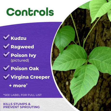 Bonide Stump-Out Stump Killer Concentrate 8 oz