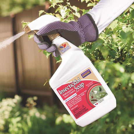 Bonide 652 Insecticidal Soap, Liquid, Spray Application, 1 qt Bottle