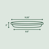 Raid Ant Killer Aerosol 17.5 oz