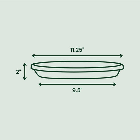 Bloem Terra 2 in. H X 11.25 in. W X 11.25 in. D X 12 in. D Resin Traditional Plant Saucer Terra Cott