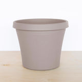 Bloem Terra 7.25 in. H X 8.75 in. W X 6 in. D Resin Traditional Planter Pebble Stone