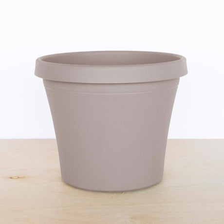 Bloem Terra 7.25 in. H X 8.75 in. W X 6 in. D Resin Traditional Planter Pebble Stone