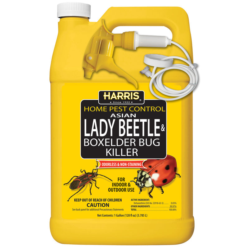 Harris HBXA-128 Beetle and Box Elder Bug Killer, Liquid, Spray Application, 128 oz