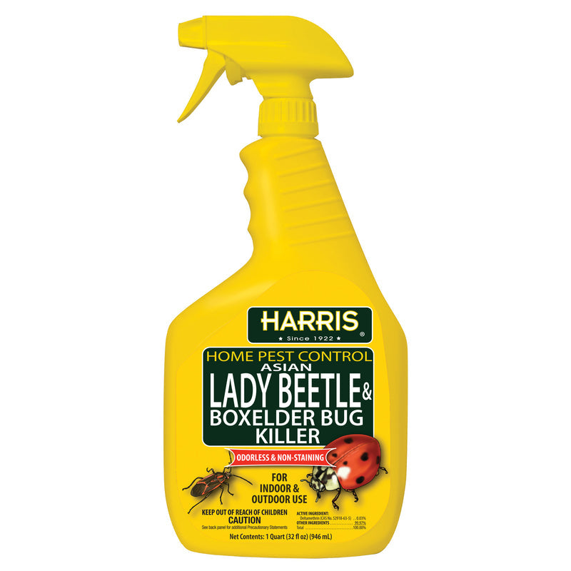 Harris HBXA-32 Beetle Killer, Liquid, Spray Application, 32 oz