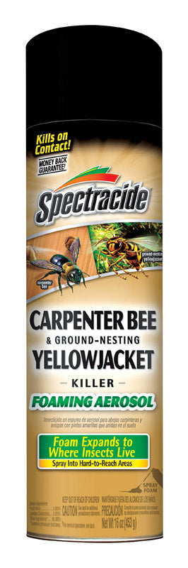 Spectracide Insect Killer Foam 16 oz, Pack of 12