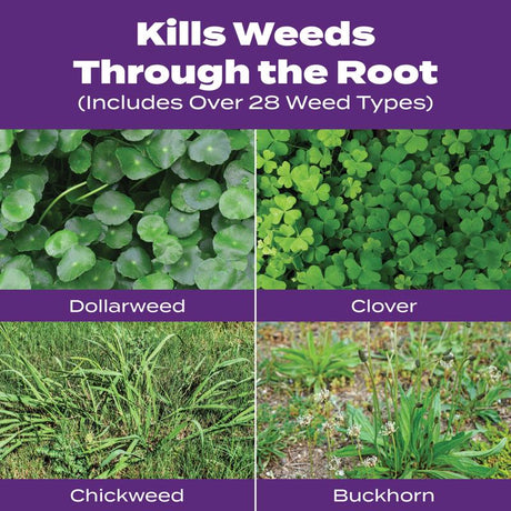 Scotts Turf Builder Bonus S Weed & Feed Lawn Fertilizer For Multiple Grass Types 10000 sq ft