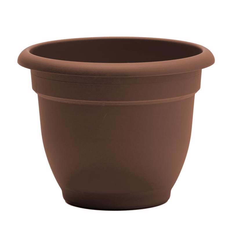 Bloem Ariana 5.25 in. H X 6.5 in. W Resin Traditional Planter Chocolate