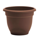 Bloem Ariana 5.25 in. H X 6.5 in. W Resin Traditional Planter Chocolate