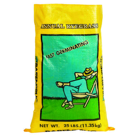 Barenbrug Wonderlawn Bahia Grass Full Sun Grass Seed 2 lb