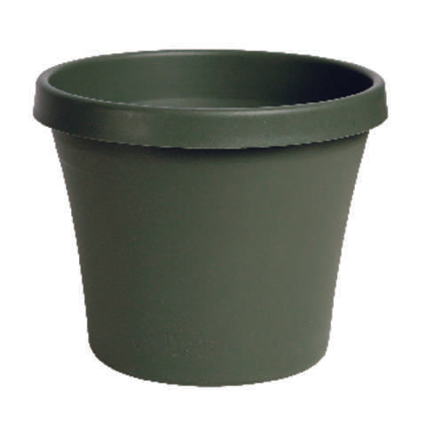 Bloem TerraPot 7 in. H X 8.75 in. W X 8 in. D Resin Traditional Planter Living Green