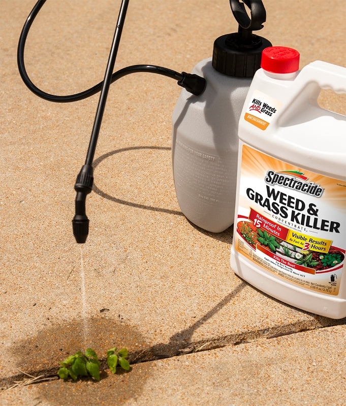 Spectracide HG-96620 Concentrated Weed and Grass Killer, Liquid, Spray Application, 1 gal