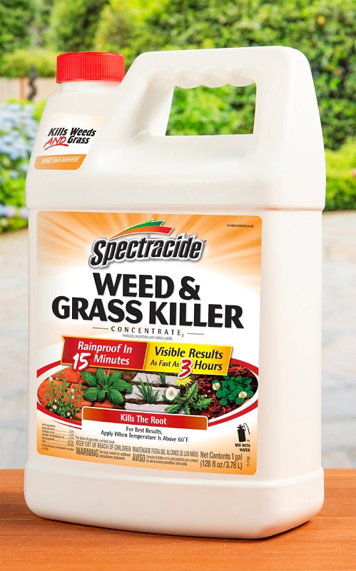 Spectracide HG-96620 Concentrated Weed and Grass Killer, Liquid, Spray Application, 1 gal