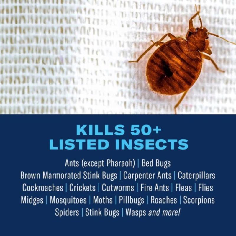 BayerAdvanced 701310A Insect Killer, Liquid, Spray Application, 15 oz