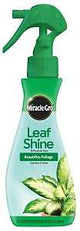 Miracle-Gro 100720 Leaf Shine, 8 oz Bottle, Liquid