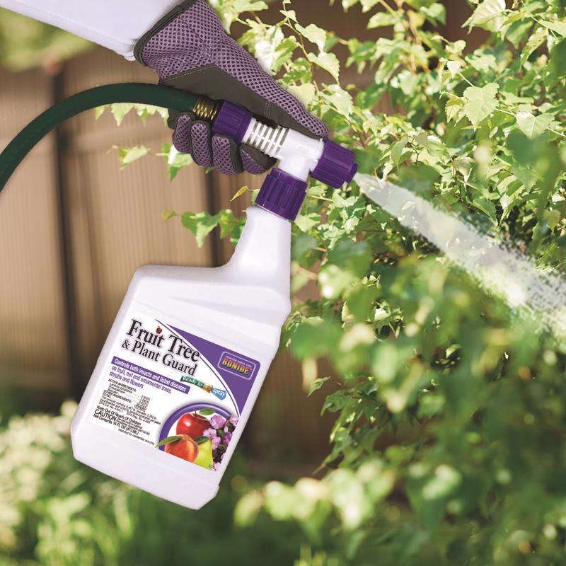 Bonide Fruit Tree & Plant Guard Insect Killer Liquid 16 oz