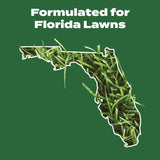 Scotts Turf Builder All-Purpose Lawn Fertilizer For All Grasses 10000 sq ft