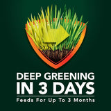 Scotts Green Max All-Purpose Lawn Fertilizer For All Grasses 10000 sq ft