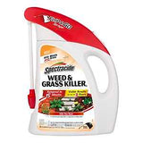 KILLER WEED & GRASS SPRAY 64OZ