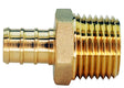 ADAPTER BRASS 1/2 X 1/2IN