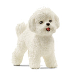 TOY BICHON FRISE