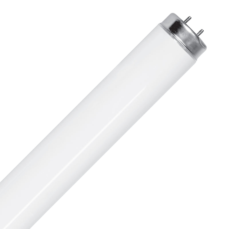 Feit Electric F40DX/2 Fluorescent Bulb, 40 W, T12 Lamp, G13 Lamp Base, 2325 Lumens, 6500 K Color Temp, Daylight, Pack of 10