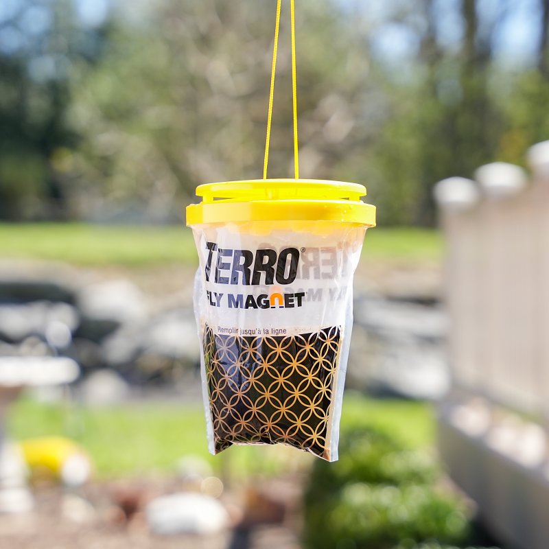 Terro Fly Magnet T524 Disposable Fly Trap, Unscented