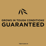 Scotts EZ Seed Centipede Grass Sun or Shade Grass Spot Repair Mix 3.75 lb