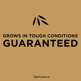 Scotts EZ Seed Centipede Grass Sun or Shade Grass Spot Repair Mix 10 lb