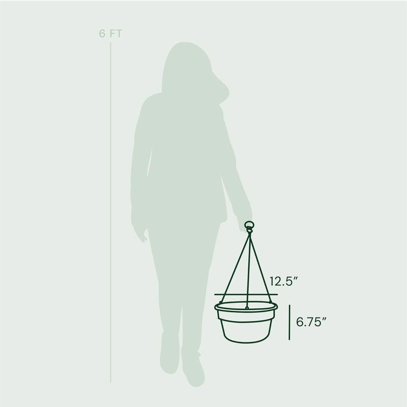 Bloem Dura Cotta 6.8 in. H X 12.5 in. W X 12.4 in. D Resin Hanging Basket Terracotta Clay