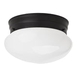 Boston Harbor OG24007 Ceiling Light, 120 V, 1-Lamp, Black Fixture, Matte Black Fixture