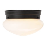 Boston Harbor OG24007 Ceiling Light, 120 V, 1-Lamp, Black Fixture, Matte Black Fixture
